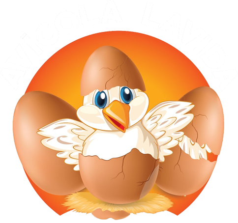 Avicola La Vida